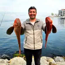 Amatör Balıkçı İki Büyük Kırlangıç Yakaladı!