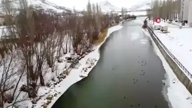 Buzdan Kurtarılan Sokak Köpeği: Bayburt'ta Yürek Isıtan Kurtarma Operasyonu